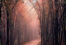 利记体育:47岁前国脚孙继海当选辽宁省足协副主席九派新闻.