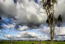 欧国联2026-27赛季B级别球队出炉:苏格兰、乌克兰、波兰在列.