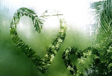 利记体育:2-0!17岁天才再创纪录:勇夺阳光双冠,狂揽332万巨奖!.