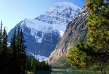 男子举重全锦赛收官 全运会“四冠王”杨哲夺两金.