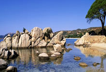 山东青岛小将张展硕夺得2025年全国春季游泳锦标赛男子200米蝶泳冠军.